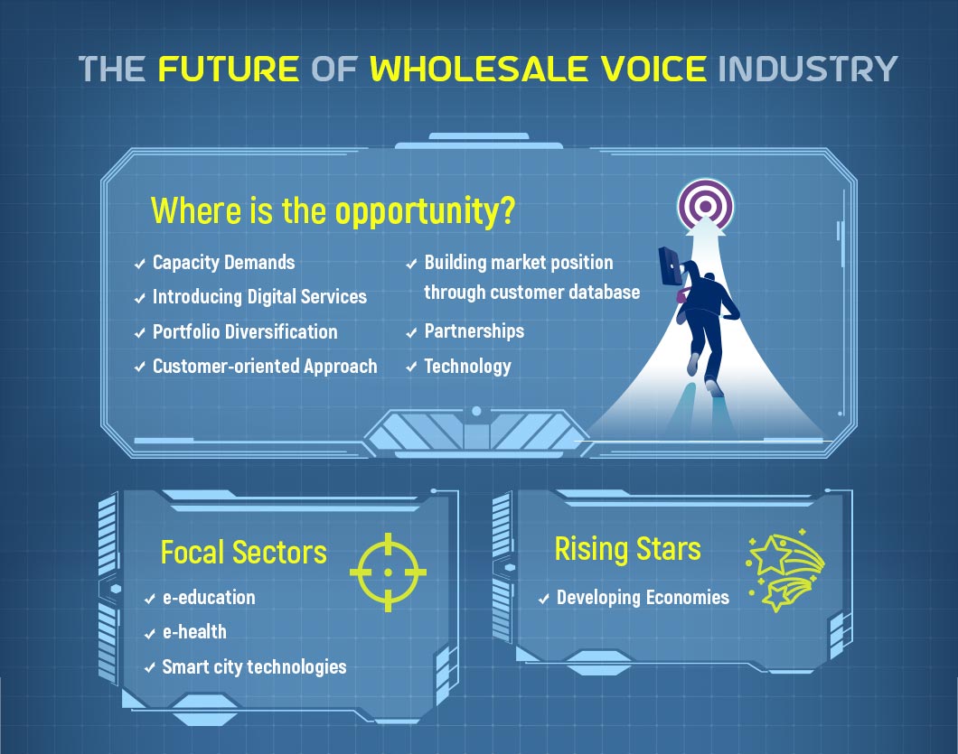The Future of Wholesale Voice Industry